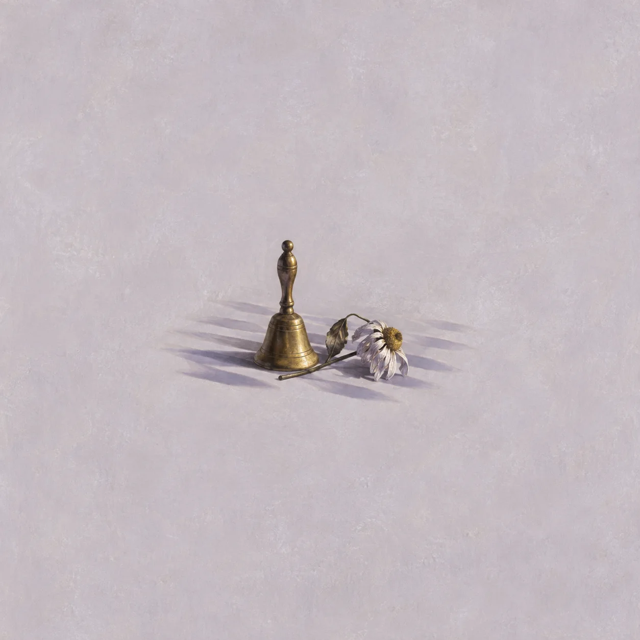 A brass handbell and a wilted daisy rest on a pale lavender surface with repeated shadows behind them.