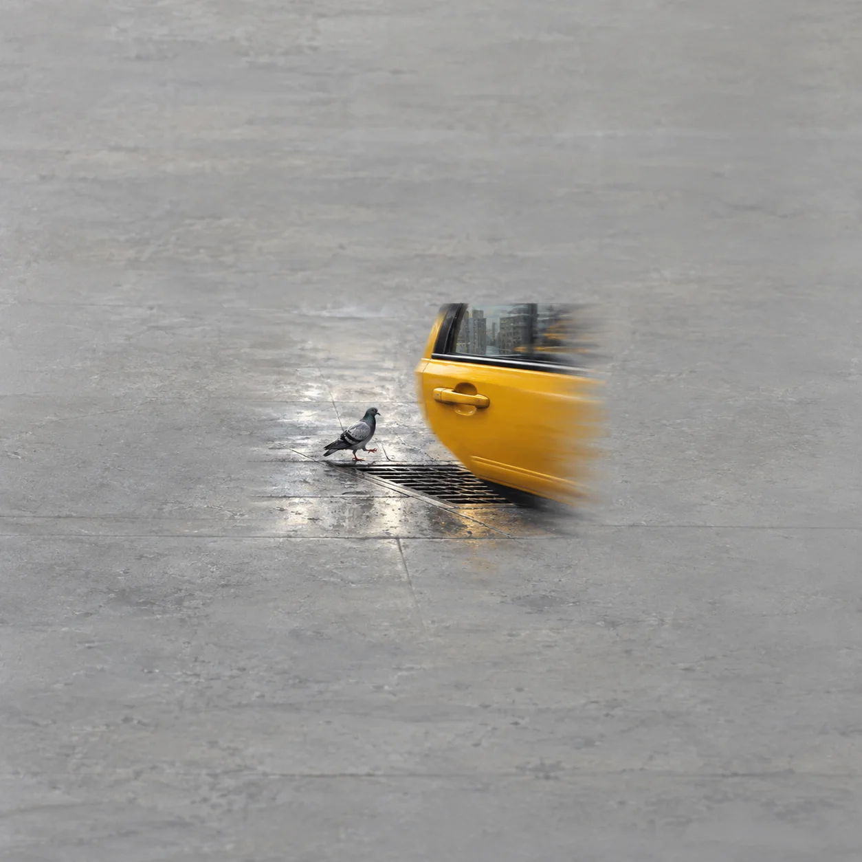 Painterly yellow taxi door passing a pigeon on a wet grey pavement.