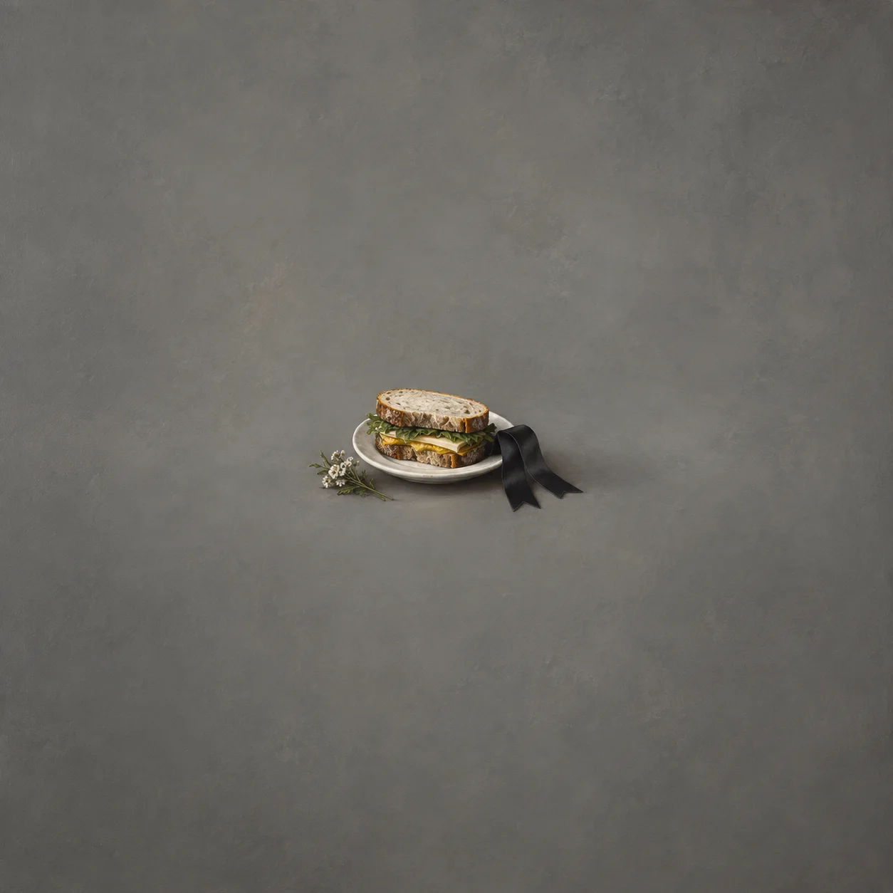 A sandwich sits on a white plate with a black ribbon draped beside it against a grey background.