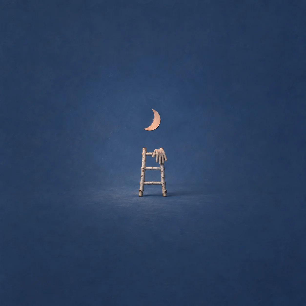 A small twig ladder with a glove draped over its top stands beneath a pale crescent moon.