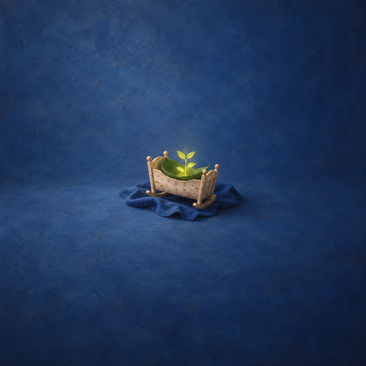 A small wooden cradle holding a green seedling on a cobalt-blue cloth.