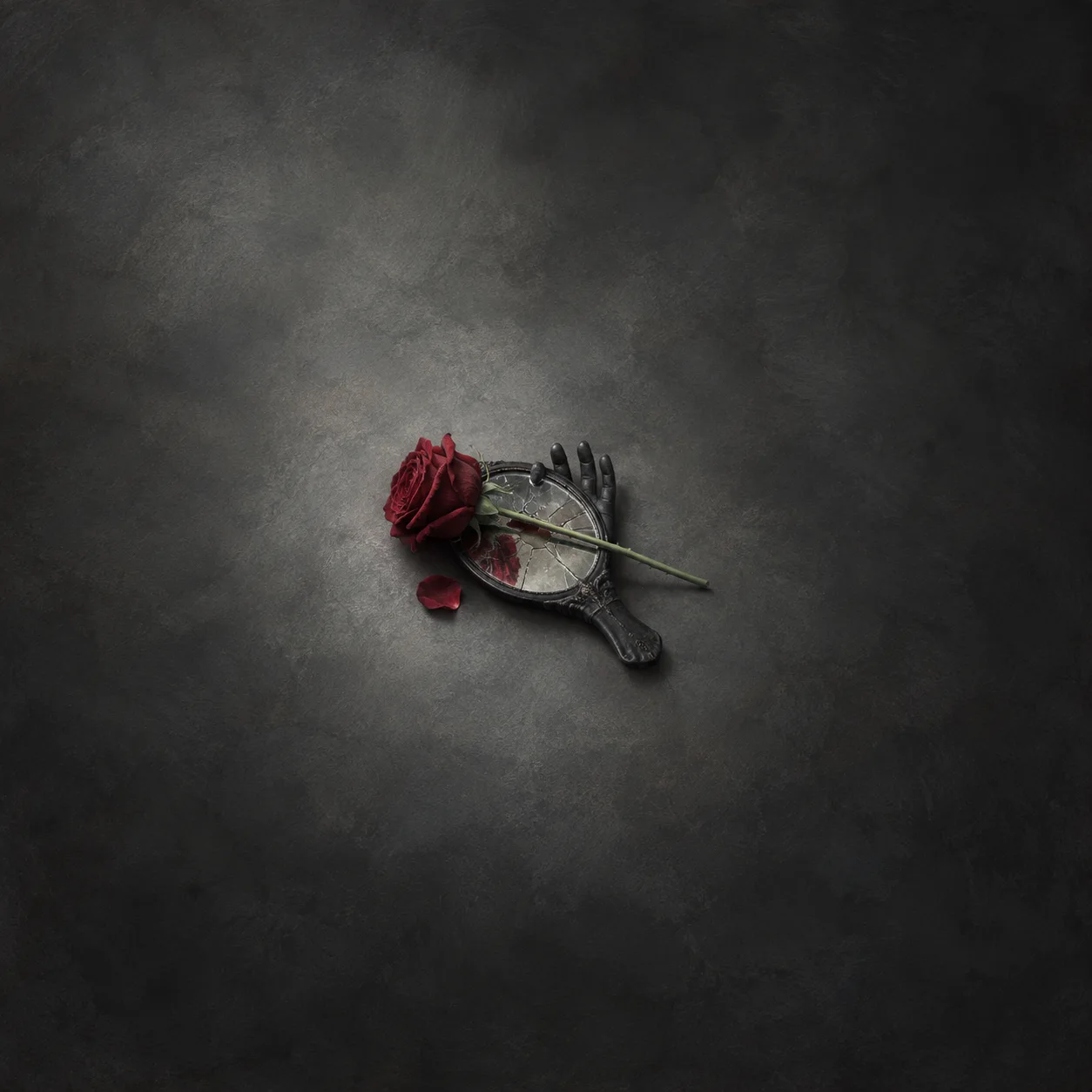 A red rose lies across a cracked black hand mirror on charcoal.