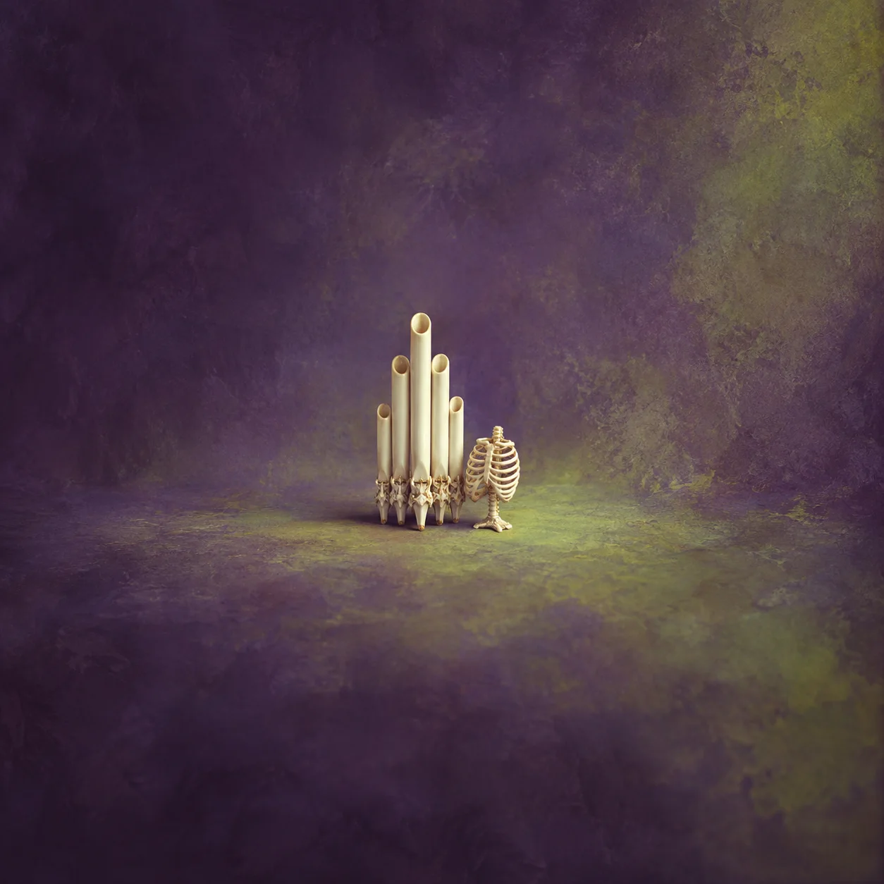 A cluster of white porcelain organ pipes beside a small ribcage-shaped rack on a purple and lime background.