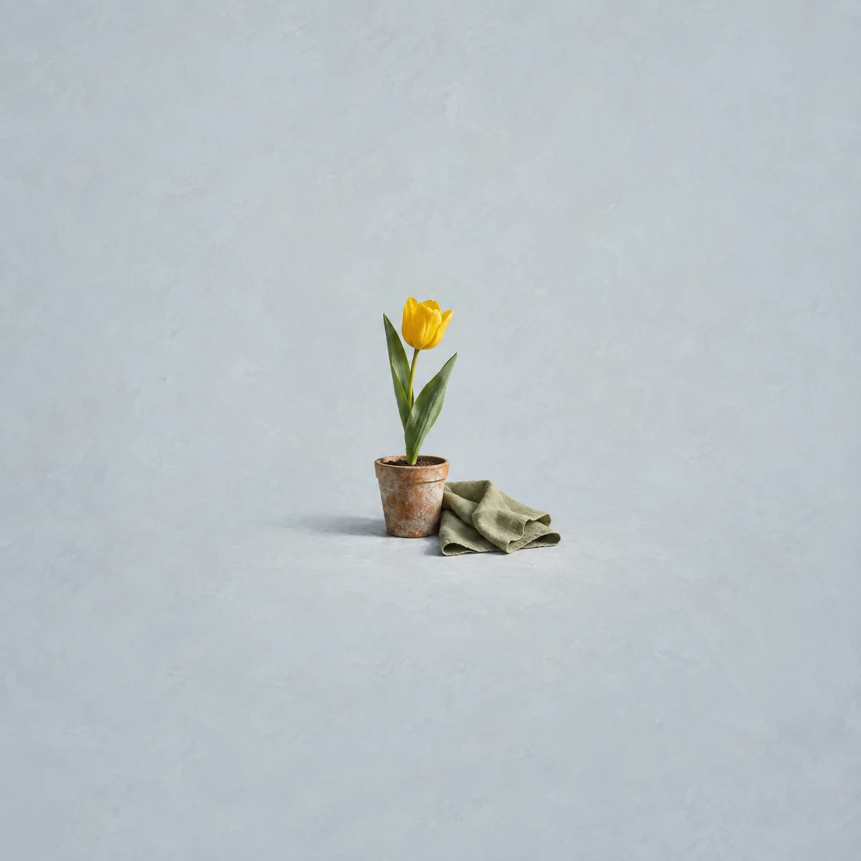 A yellow tulip in a small clay pot beside a folded olive-green cloth.