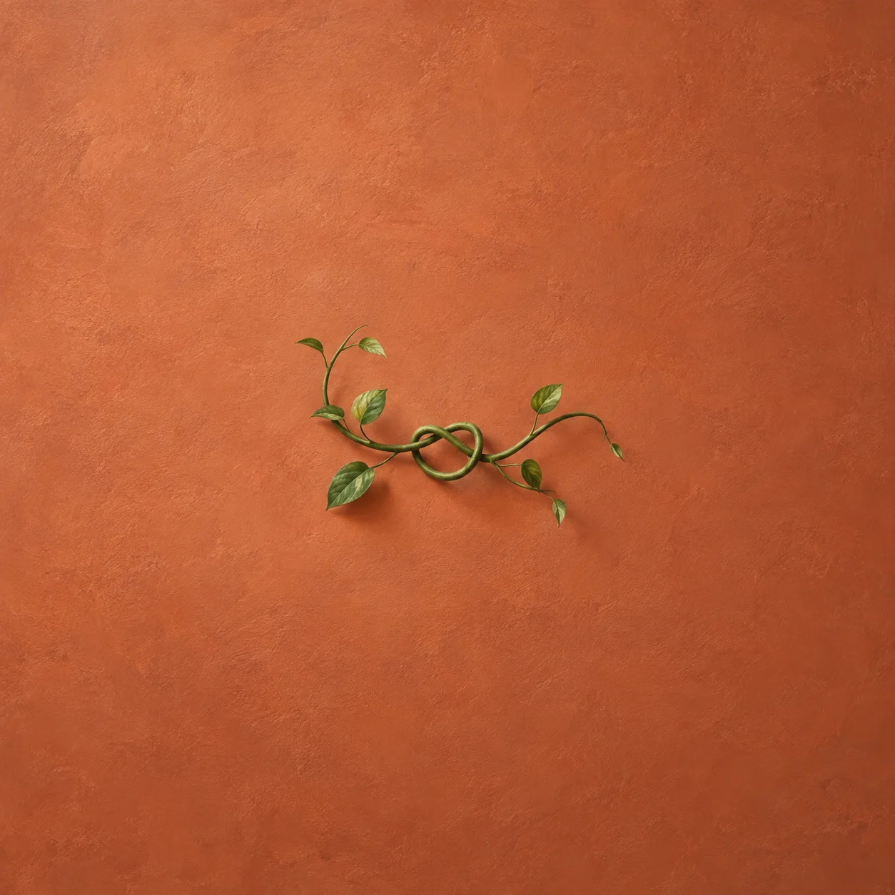 Two green leafy vines intertwine in a loose knot against a terracotta background.