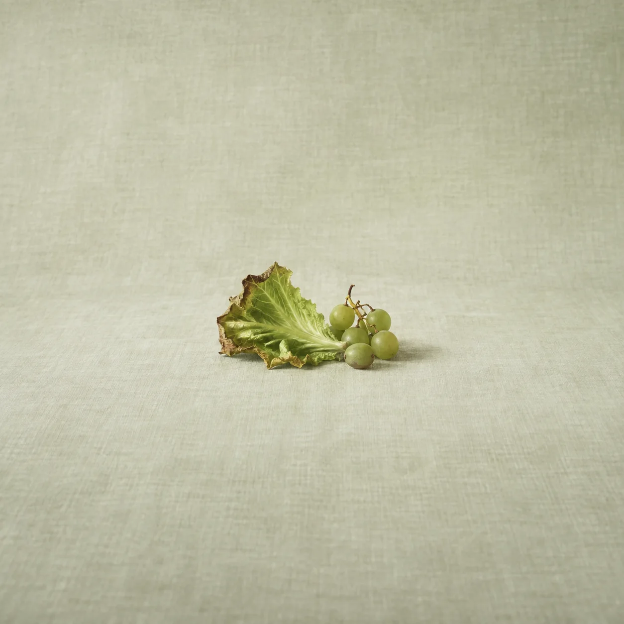 Painterly wilted lettuce leaf beside a small bunch of green grapes on pale linen.