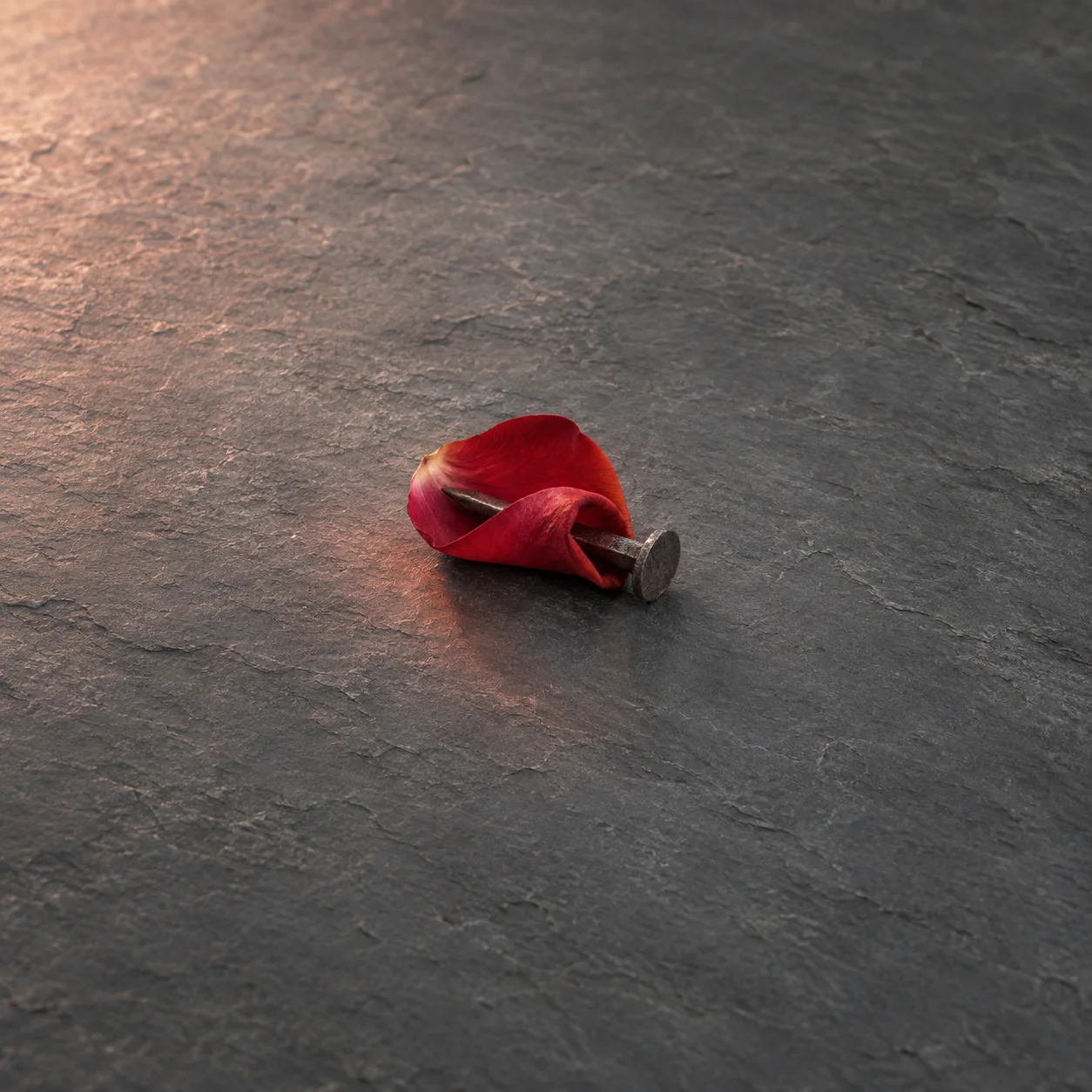A red rose petal folded around an iron nail on a rough gray stone surface.