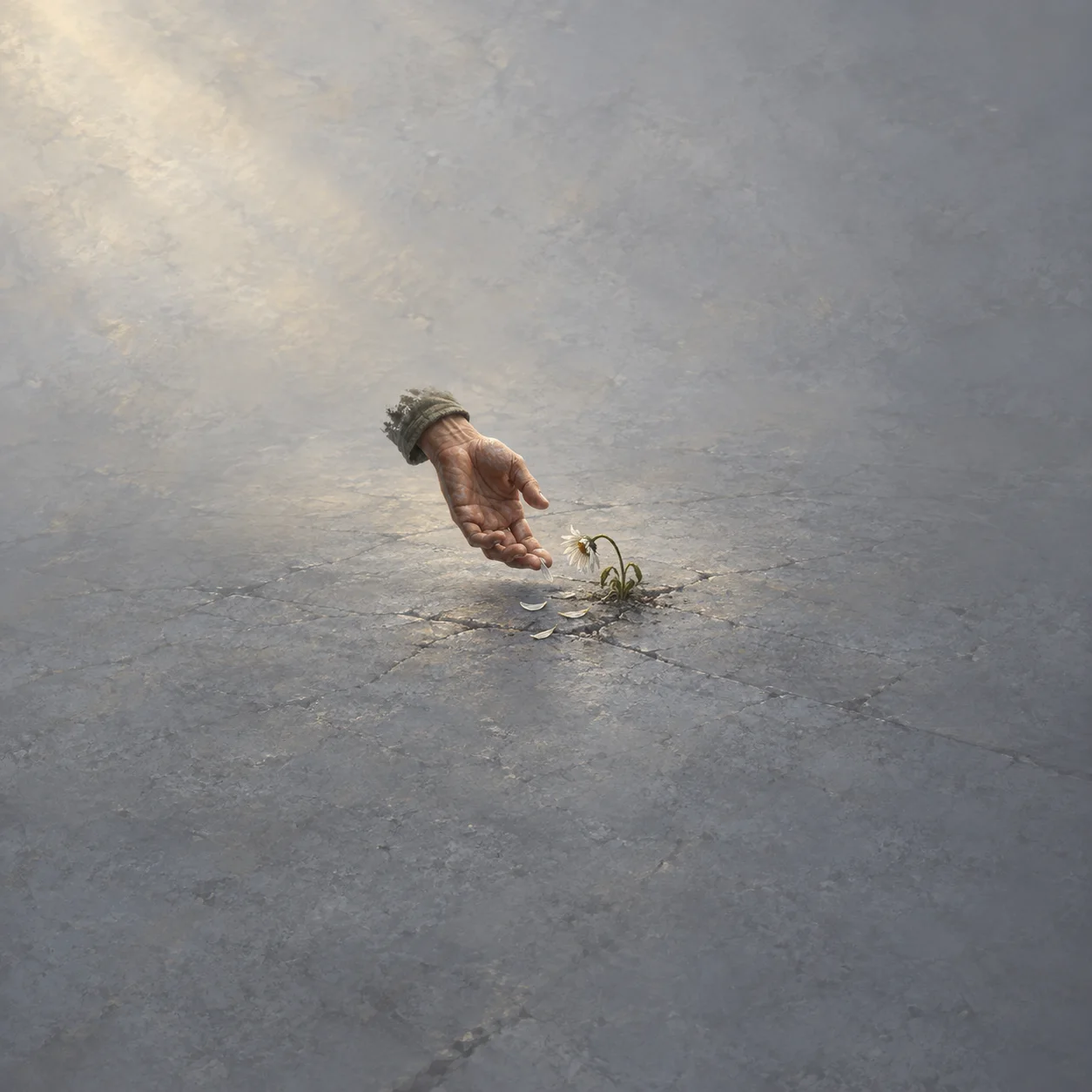 Painterly open hand reaching toward a wilted flower and fallen petals on cracked pavement.