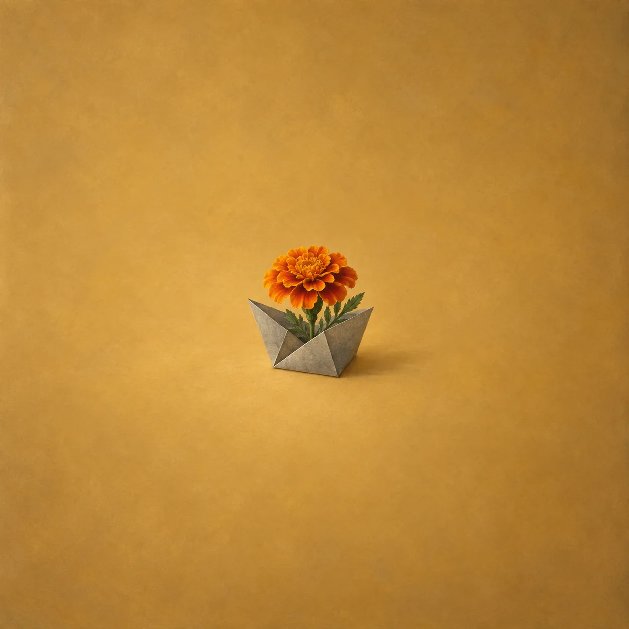 A bright orange marigold blooming out of a folded grey paper square on a warm ochre background.