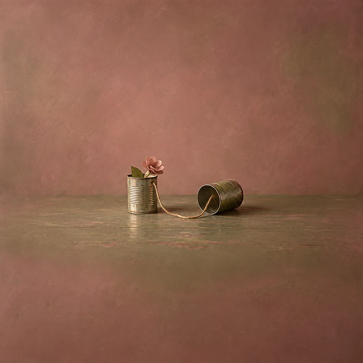 Two tin cans joined by a loose string, one holding a pink flower, against a dusty rose background.