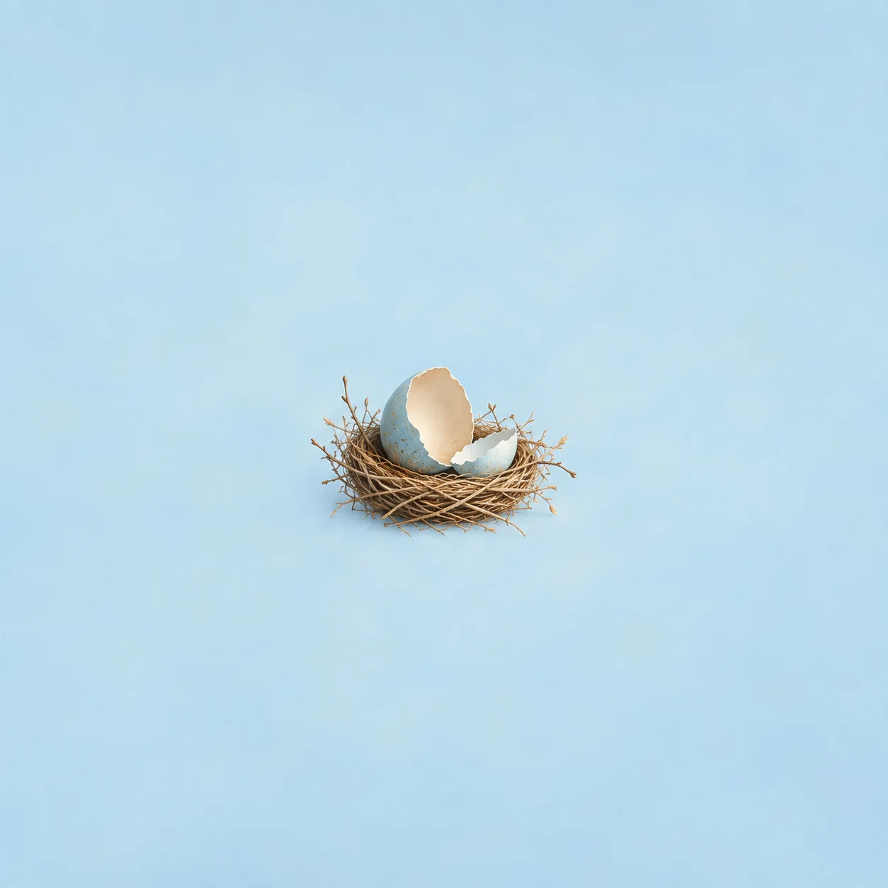 A broken cream eggshell rests in a nest of dry twigs against pale blue.