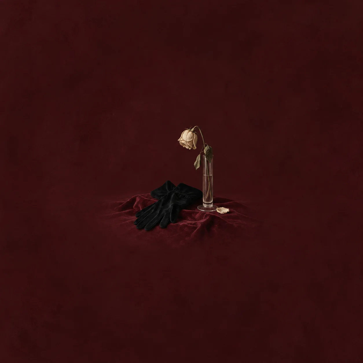 Black gloves next to a wilted white rose in a thin glass vase on burgundy cloth.
