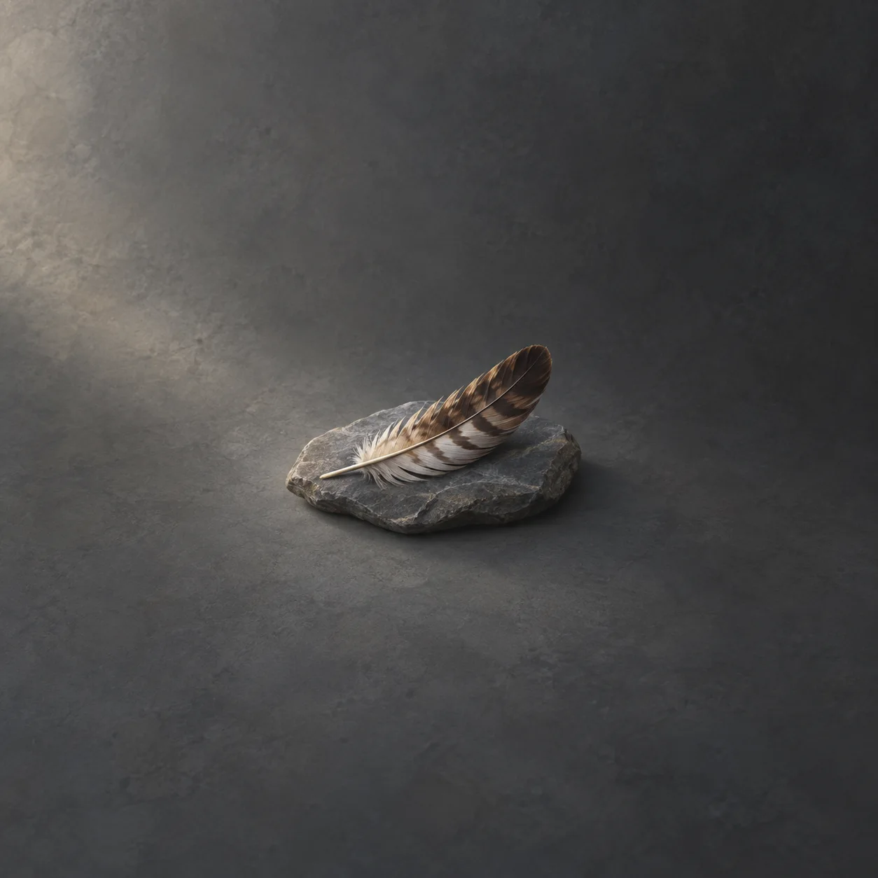 Painterly striped feather resting diagonally on a flat grey stone under soft light.