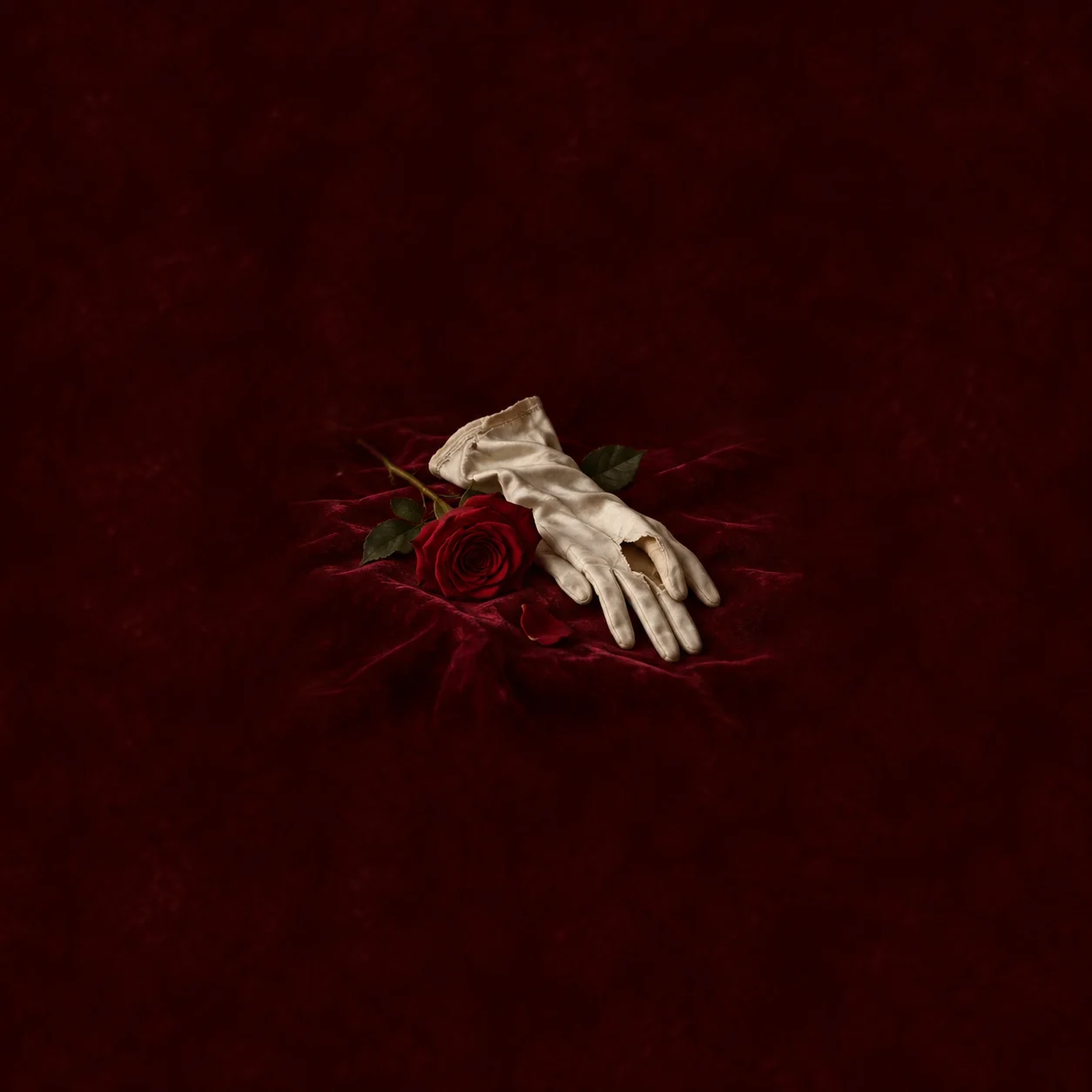Painterly pale glove beside a red rose on dark burgundy velvet.