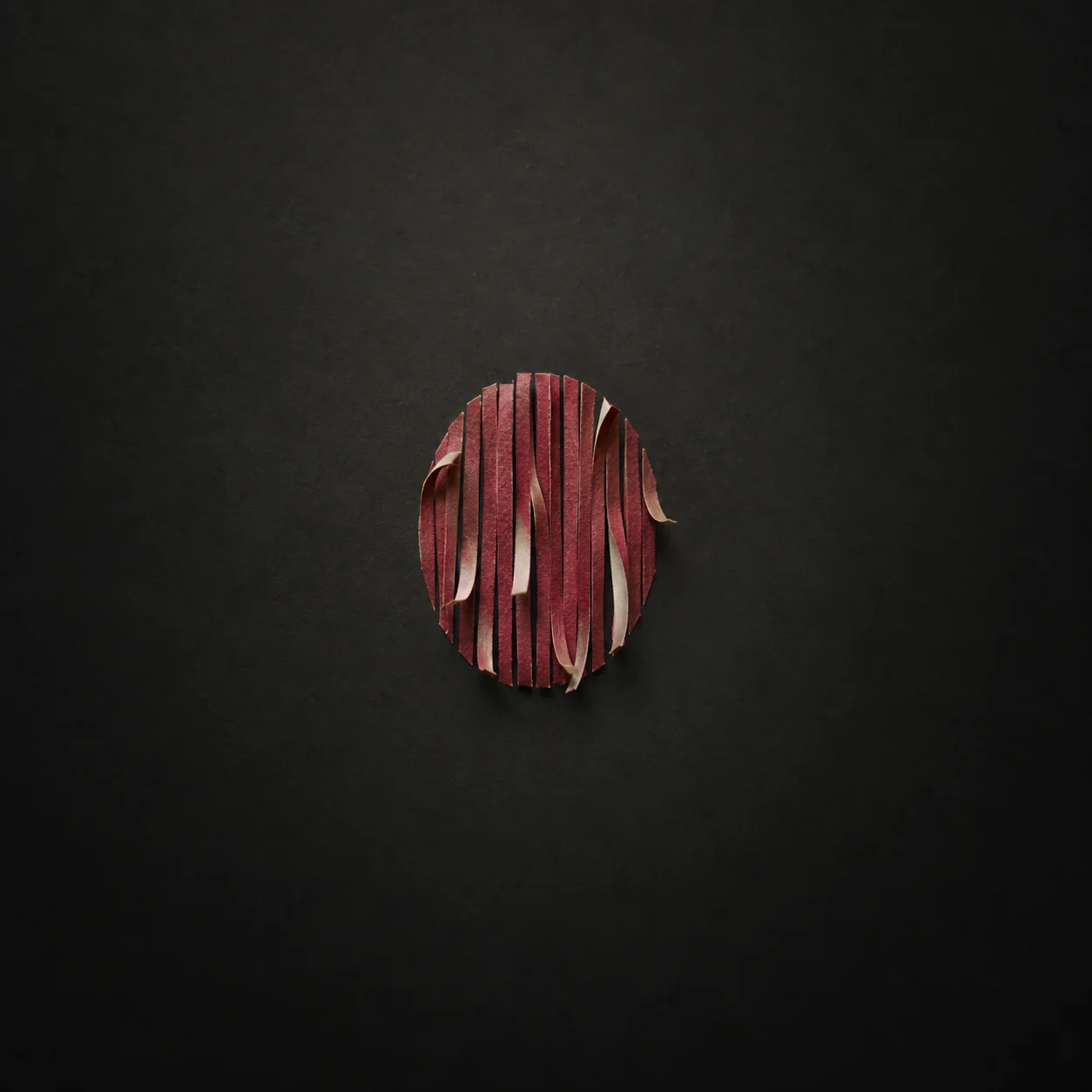An oval of red paper divided into narrow vertical strips with curling edges against a nearly black background.