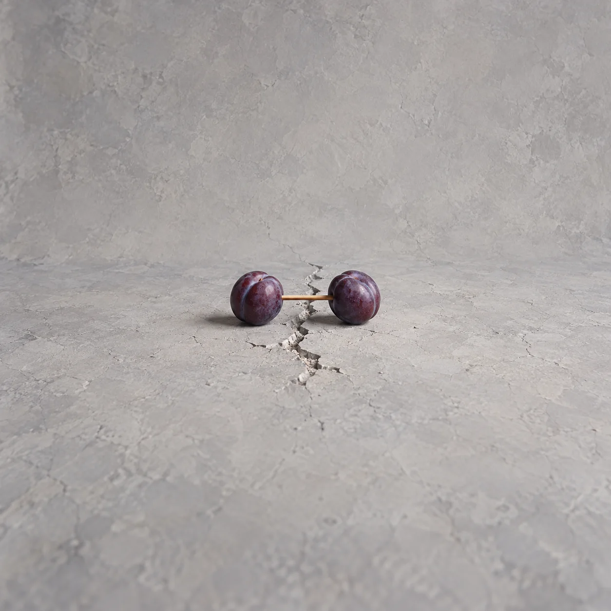 Two plums joined by a short wooden rod like a dumbbell, resting across a crack in a gray stone surface.