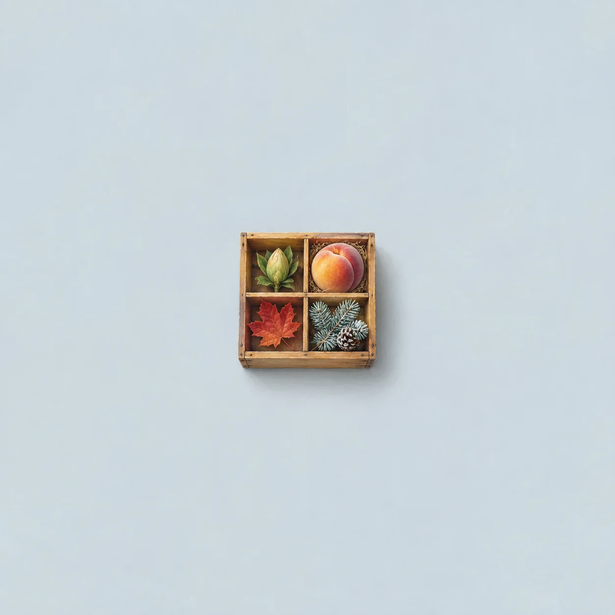 A four-compartment wooden box holds green buds, a peach, a red maple leaf and a frosted pine sprig.