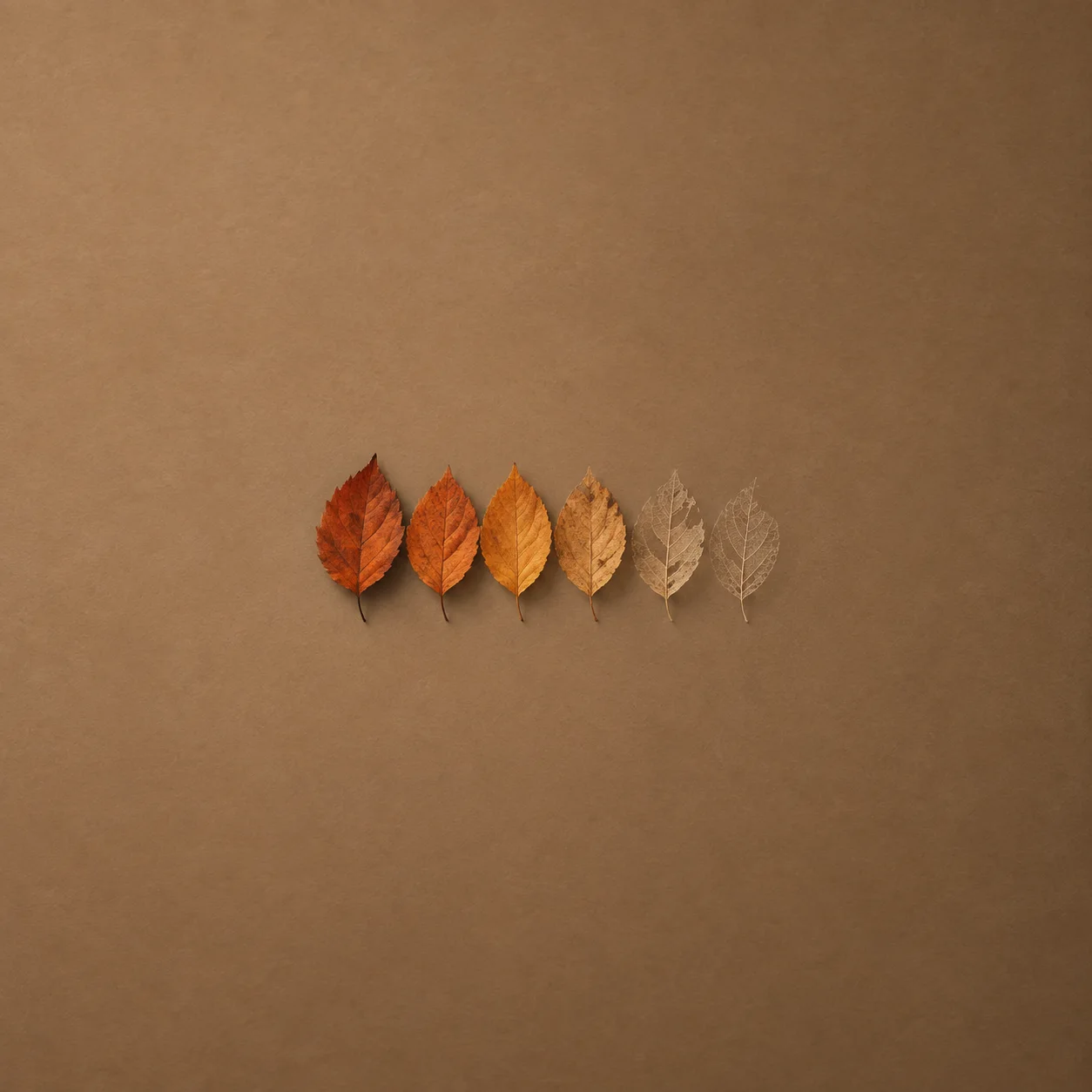 A row of autumn leaves growing fainter from left to right on a brown background.