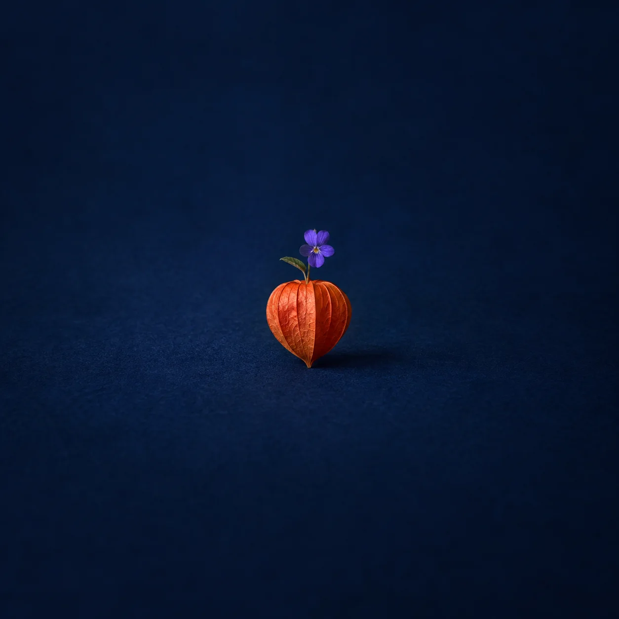An orange lantern-shaped ornament with a small violet flower emerging from the top on a dark blue background.