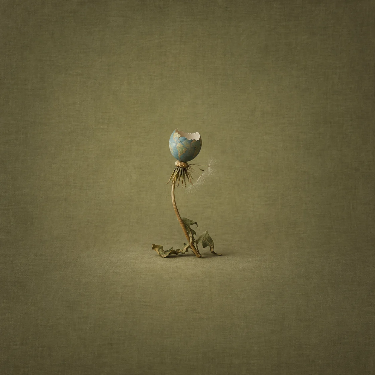 A wilted stem supports a small cracked eggshell painted like a globe against a faded olive background.