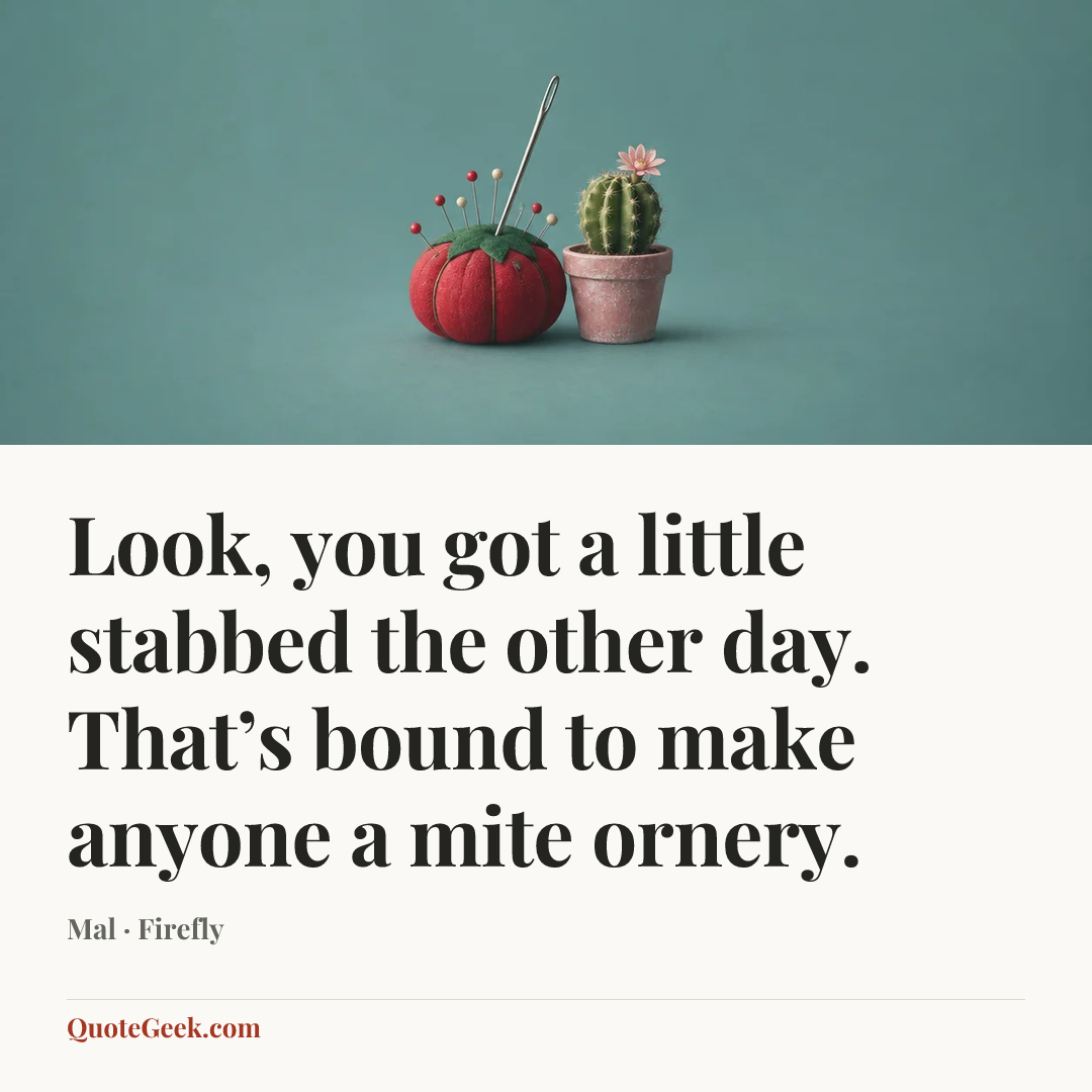 “Look, you got a little stabbed the other day. That’s bound to make anyone a mite ornery.” — Mal · Firefly. Illustrated QuoteGeek card.