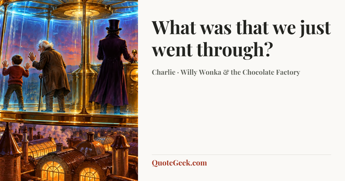 “What was that we just went through?” — Charlie · Willy Wonka & the Chocolate Factory. Illustrated QuoteGeek card.