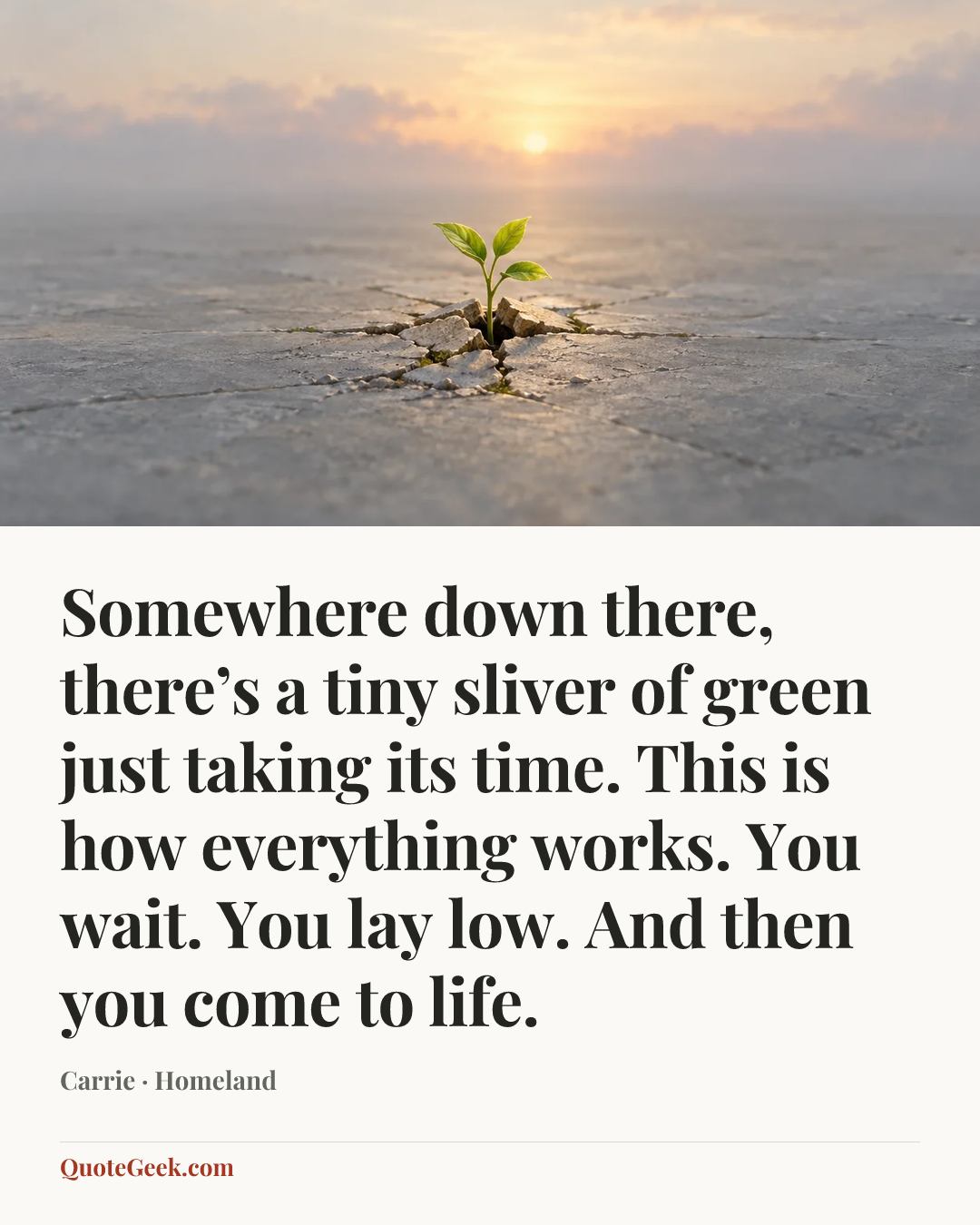 “Somewhere down there, there’s a tiny sliver of green just taking its time. This is how everything works. You wait. You lay low. And then you come to life.” — Carrie · Homeland. Illustrated QuoteGeek card.