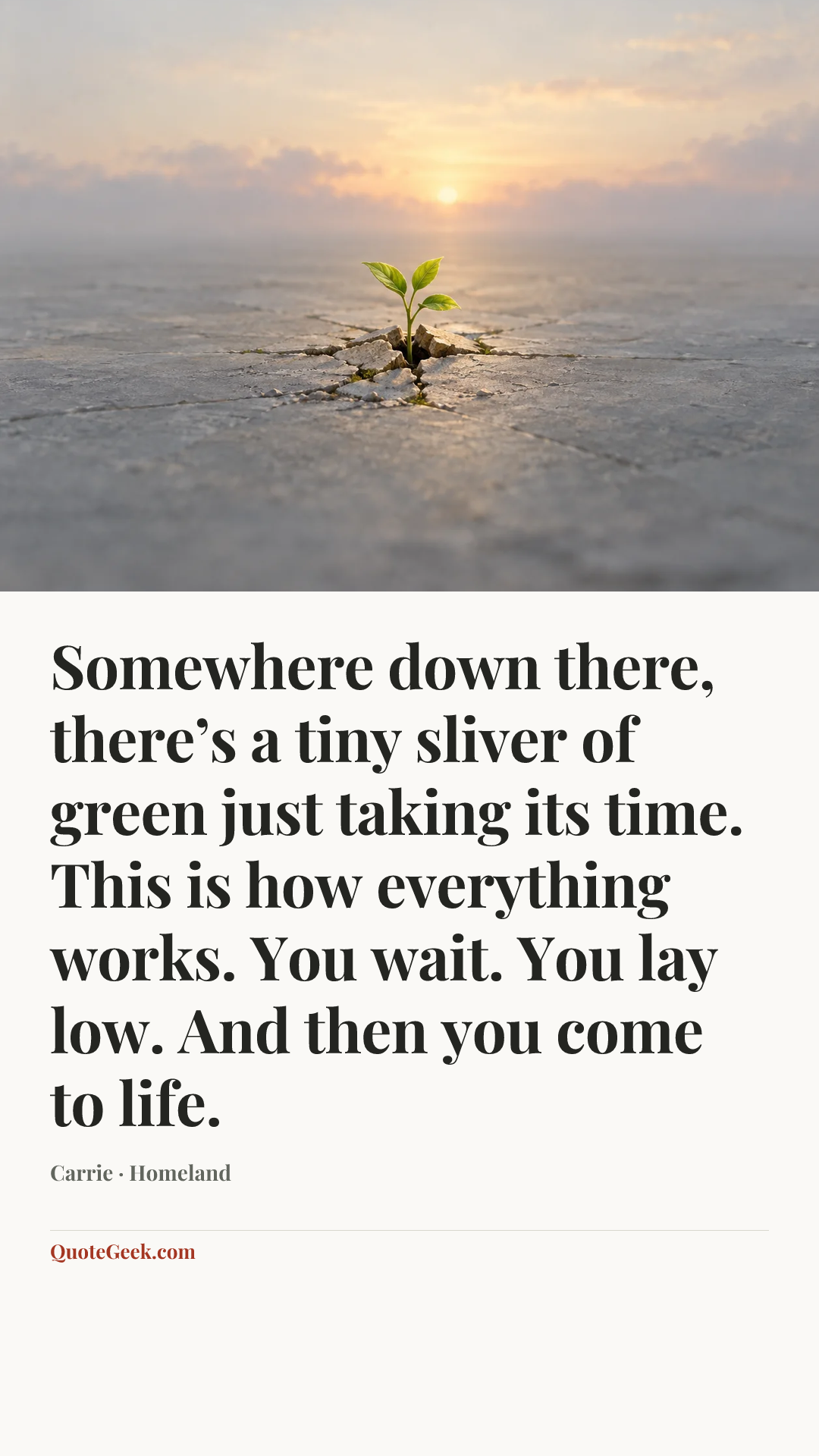 “Somewhere down there, there’s a tiny sliver of green just taking its time. This is how everything works. You wait. You lay low. And then you come to life.” — Carrie · Homeland. Illustrated QuoteGeek card.