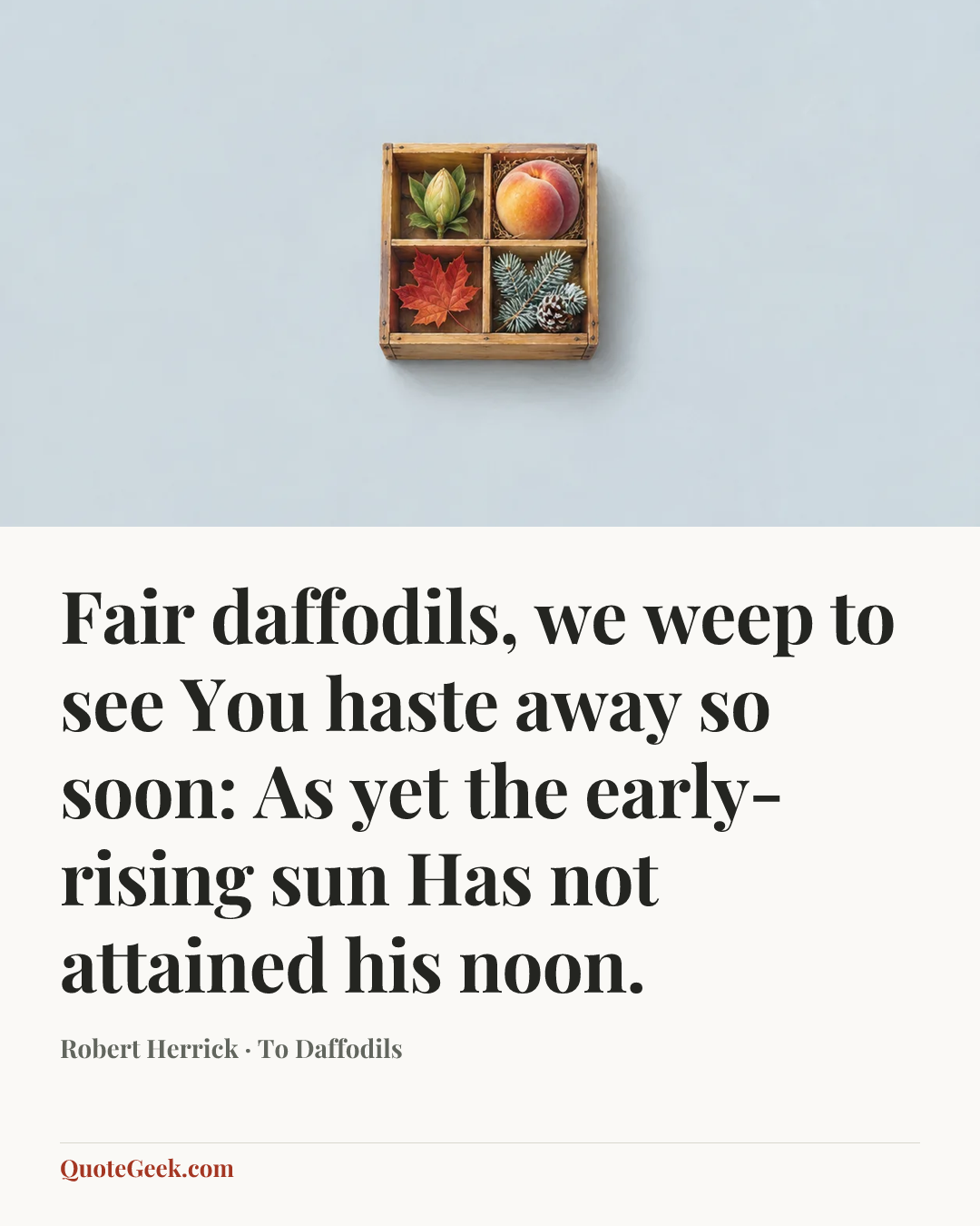 “Fair daffodils, we weep to see
You haste away so soon:
As yet the early-rising sun
Has not attained his noon.” — Robert Herrick · To Daffodils. Illustrated QuoteGeek card.