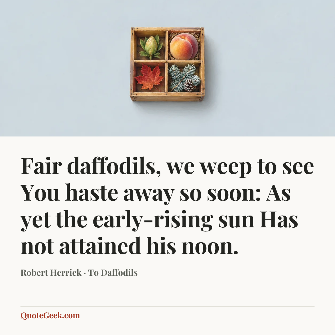 “Fair daffodils, we weep to see
You haste away so soon:
As yet the early-rising sun
Has not attained his noon.” — Robert Herrick · To Daffodils. Illustrated QuoteGeek card.