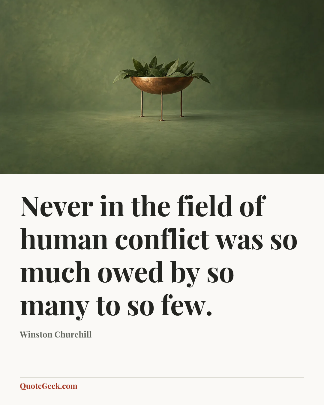 “Never in the field of human conflict was so much owed by so many to so few.” — Winston Churchill. Illustrated QuoteGeek card.