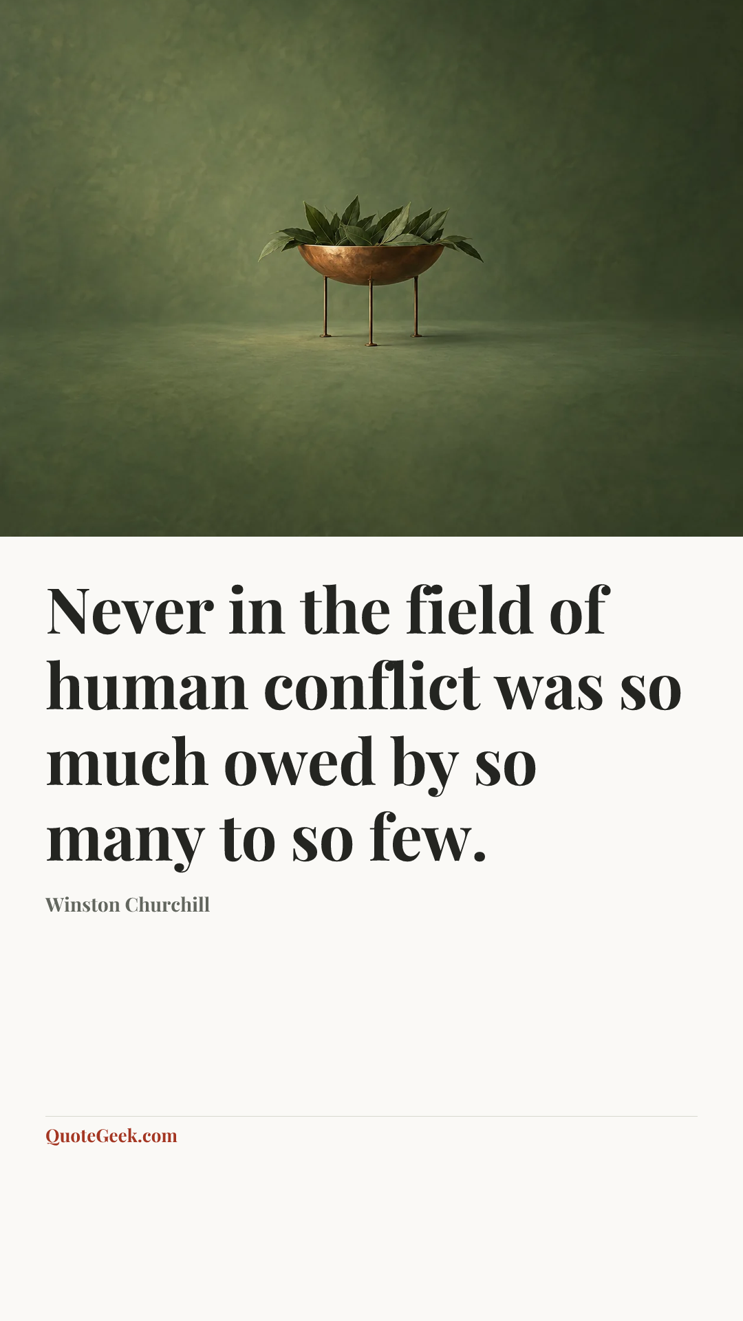 “Never in the field of human conflict was so much owed by so many to so few.” — Winston Churchill. Illustrated QuoteGeek card.