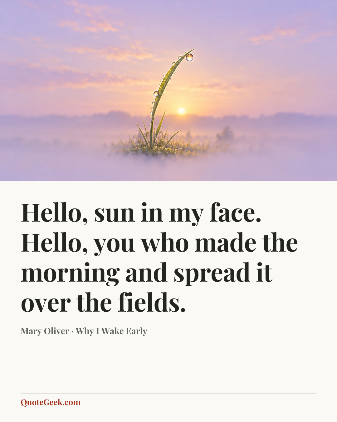 “Hello, sun in my face. Hello, you who made the morning and spread it over the fields.” — Mary Oliver · Why I Wake Early. Illustrated QuoteGeek card.