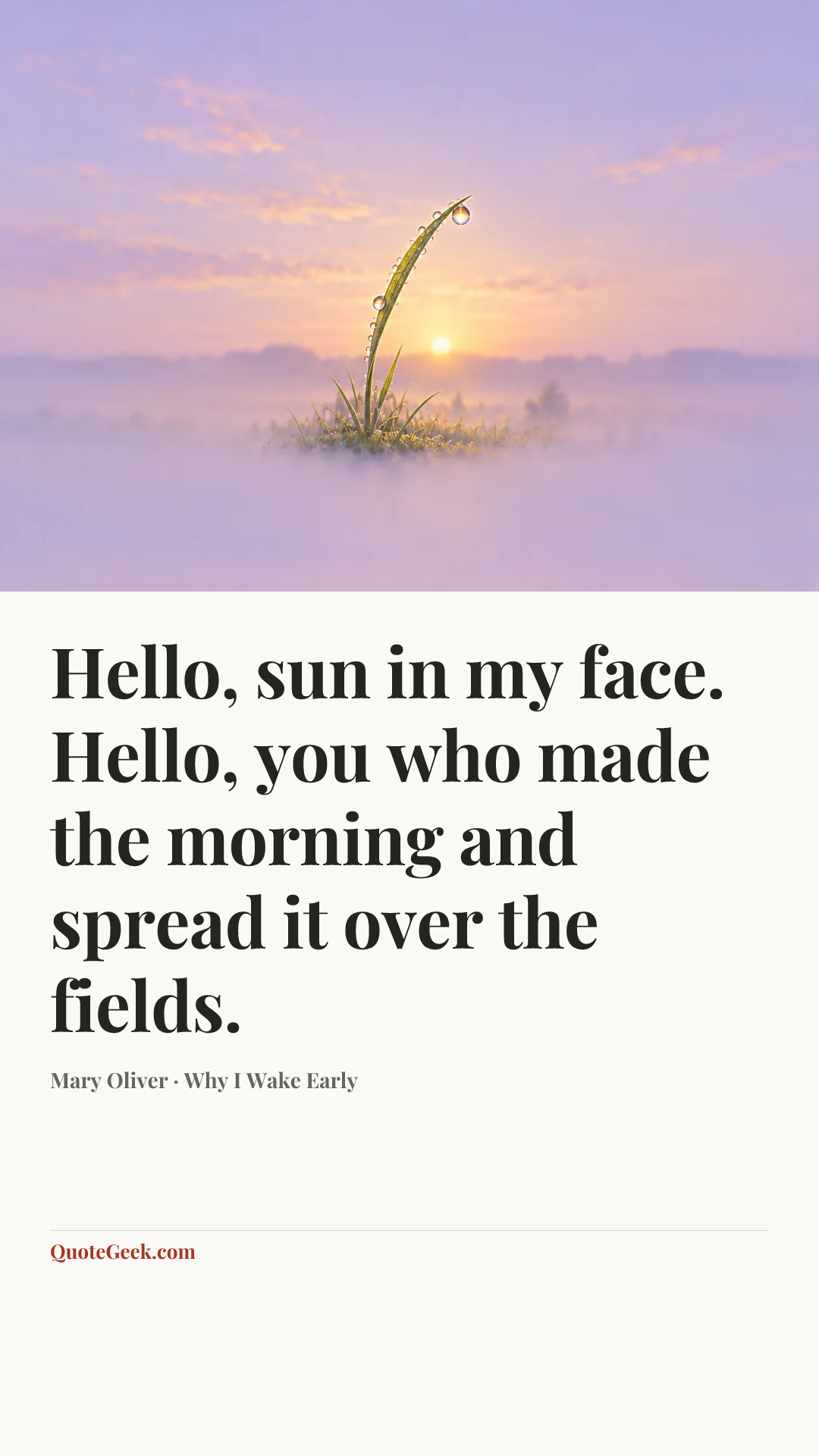 “Hello, sun in my face. Hello, you who made the morning and spread it over the fields.” — Mary Oliver · Why I Wake Early. Illustrated QuoteGeek card.