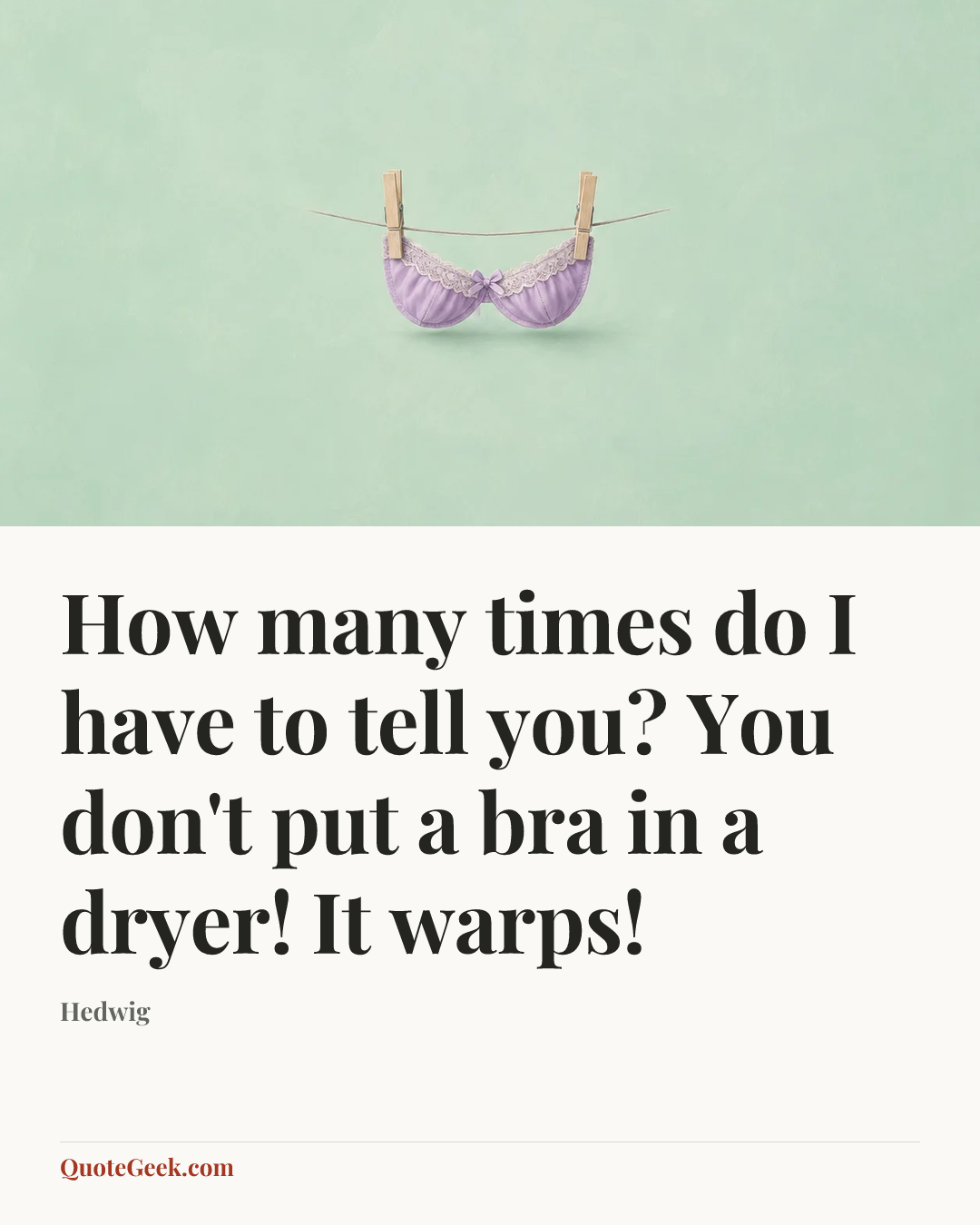 “How many times do I have to tell you? You don't put a bra in a dryer! It warps!” — Hedwig. Illustrated QuoteGeek card.