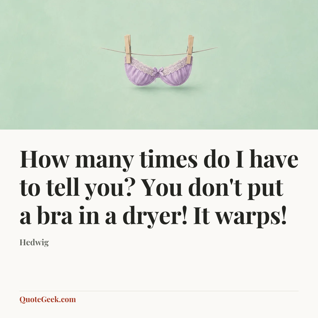 “How many times do I have to tell you? You don't put a bra in a dryer! It warps!” — Hedwig. Illustrated QuoteGeek card.