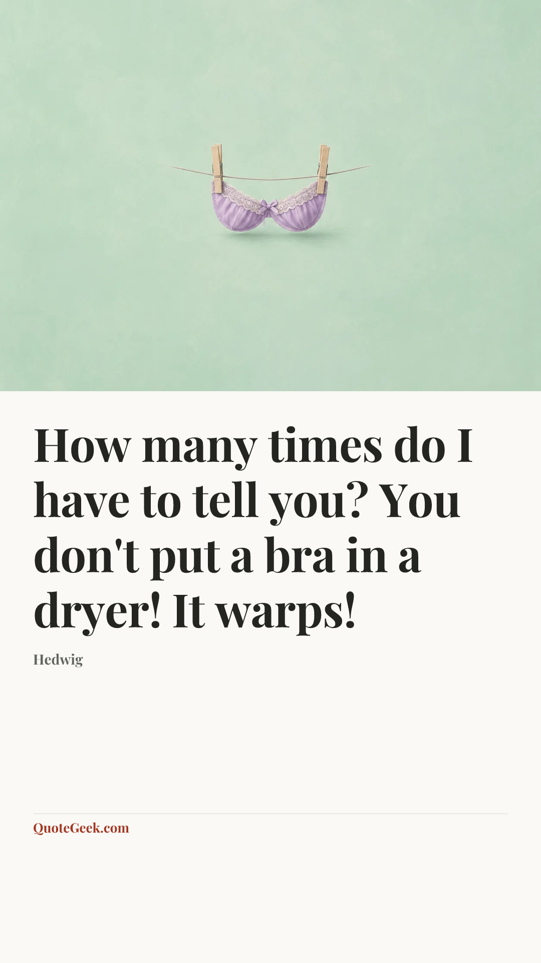 “How many times do I have to tell you? You don't put a bra in a dryer! It warps!” — Hedwig. Illustrated QuoteGeek card.