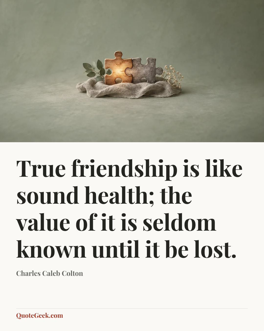 “True friendship is like sound health; the value of it is seldom known until it be lost.” — Charles Caleb Colton. Illustrated QuoteGeek card.