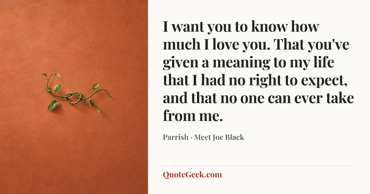“I want you to know how much I love you. That you've given a meaning to my life that I had no right to expect, and that no one can ever take from me.” — Parrish · Meet Joe Black. Illustrated QuoteGeek card.