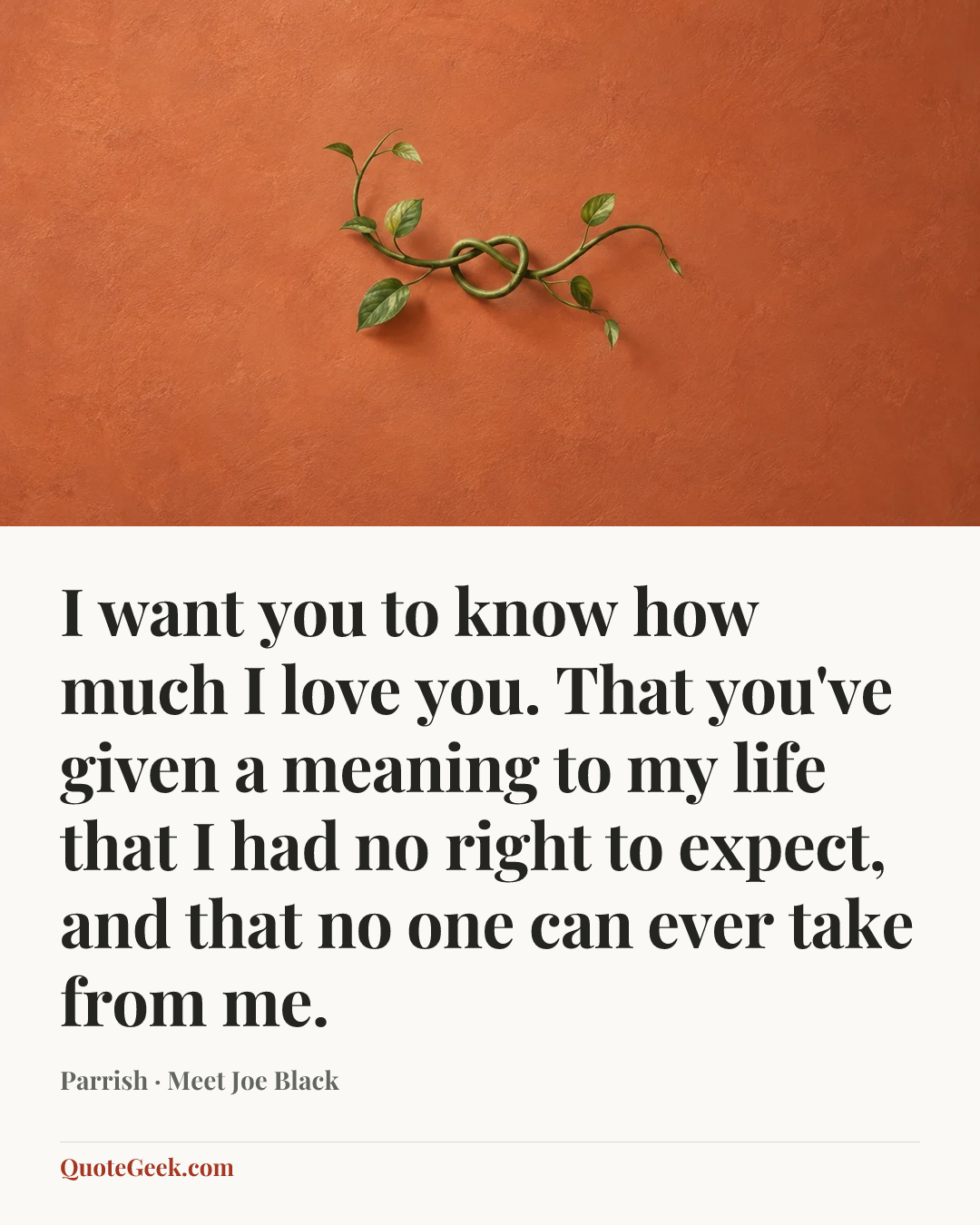 “I want you to know how much I love you. That you've given a meaning to my life that I had no right to expect, and that no one can ever take from me.” — Parrish · Meet Joe Black. Illustrated QuoteGeek card.