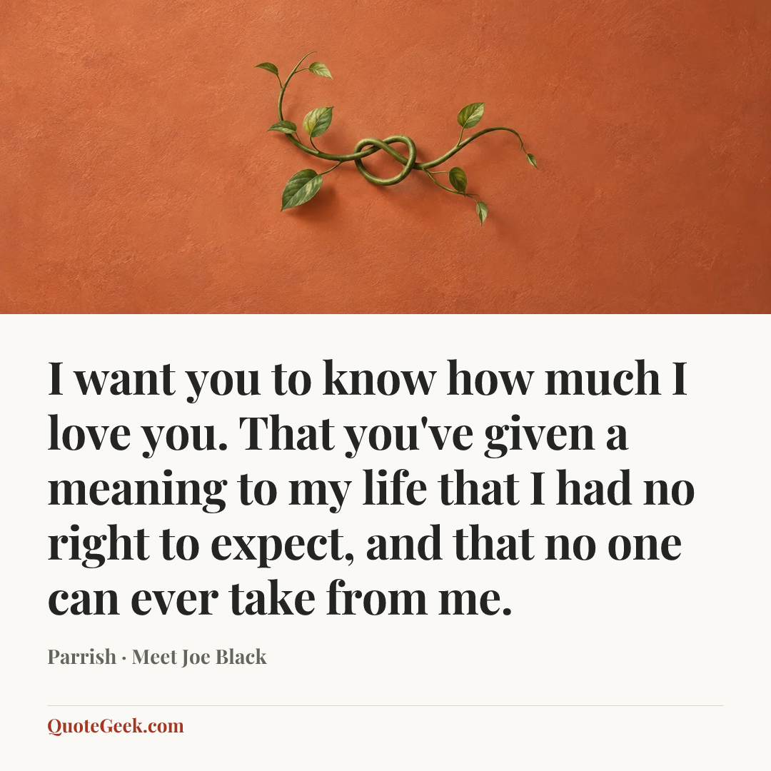 “I want you to know how much I love you. That you've given a meaning to my life that I had no right to expect, and that no one can ever take from me.” — Parrish · Meet Joe Black. Illustrated QuoteGeek card.