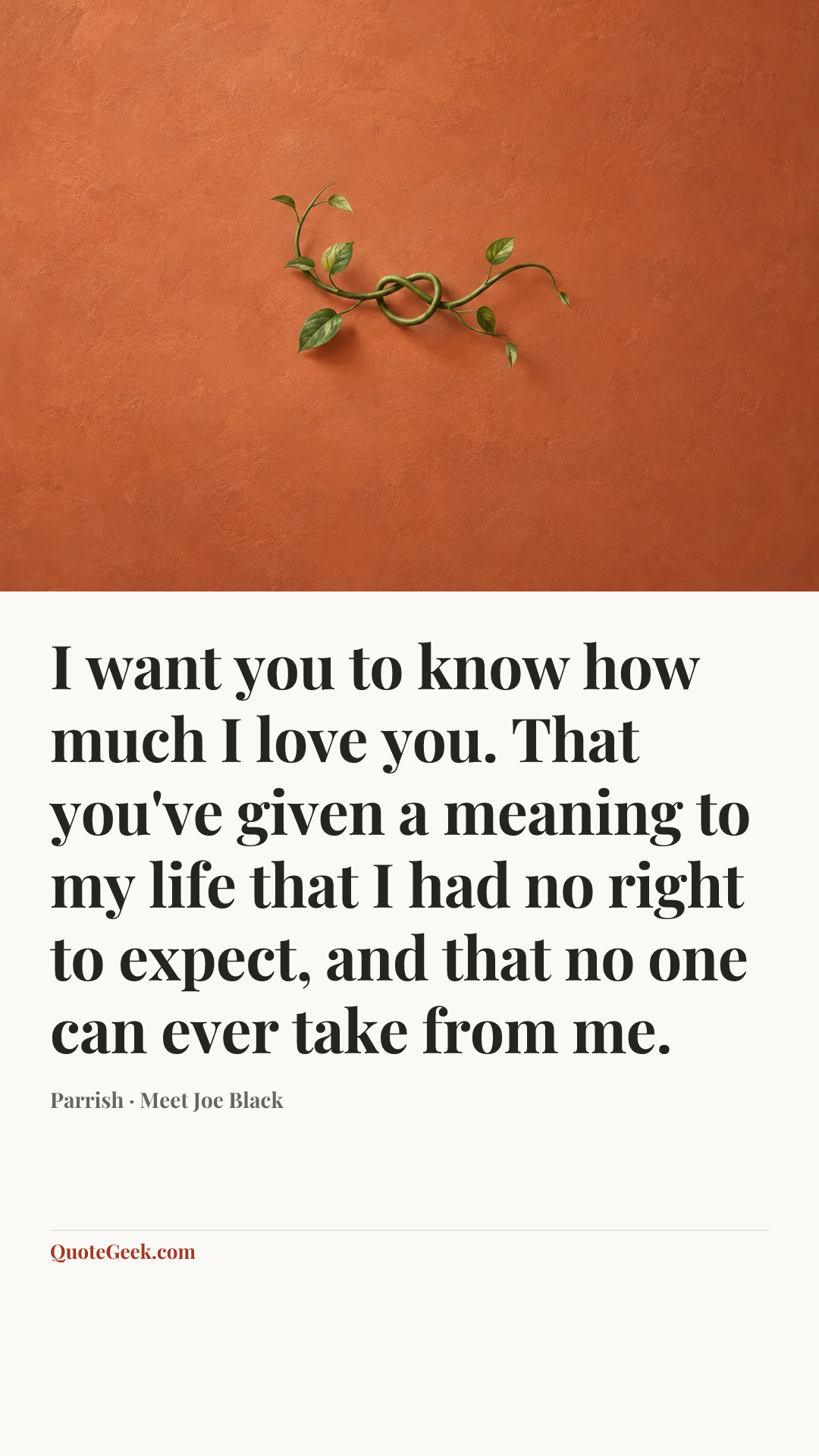 “I want you to know how much I love you. That you've given a meaning to my life that I had no right to expect, and that no one can ever take from me.” — Parrish · Meet Joe Black. Illustrated QuoteGeek card.