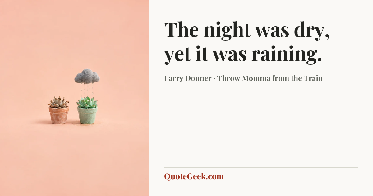 “The night was dry, yet it was raining.” — Larry Donner · Throw Momma from the Train. Illustrated QuoteGeek card.