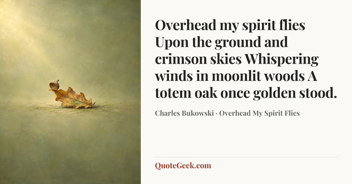 “Overhead my spirit flies
Upon the ground and crimson skies
Whispering winds in moonlit woods
A totem oak once golden stood.” — Charles Bukowski · Overhead My Spirit Flies. Illustrated QuoteGeek card.