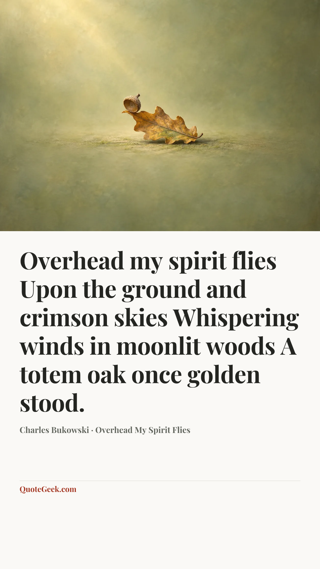 “Overhead my spirit flies
Upon the ground and crimson skies
Whispering winds in moonlit woods
A totem oak once golden stood.” — Charles Bukowski · Overhead My Spirit Flies. Illustrated QuoteGeek card.