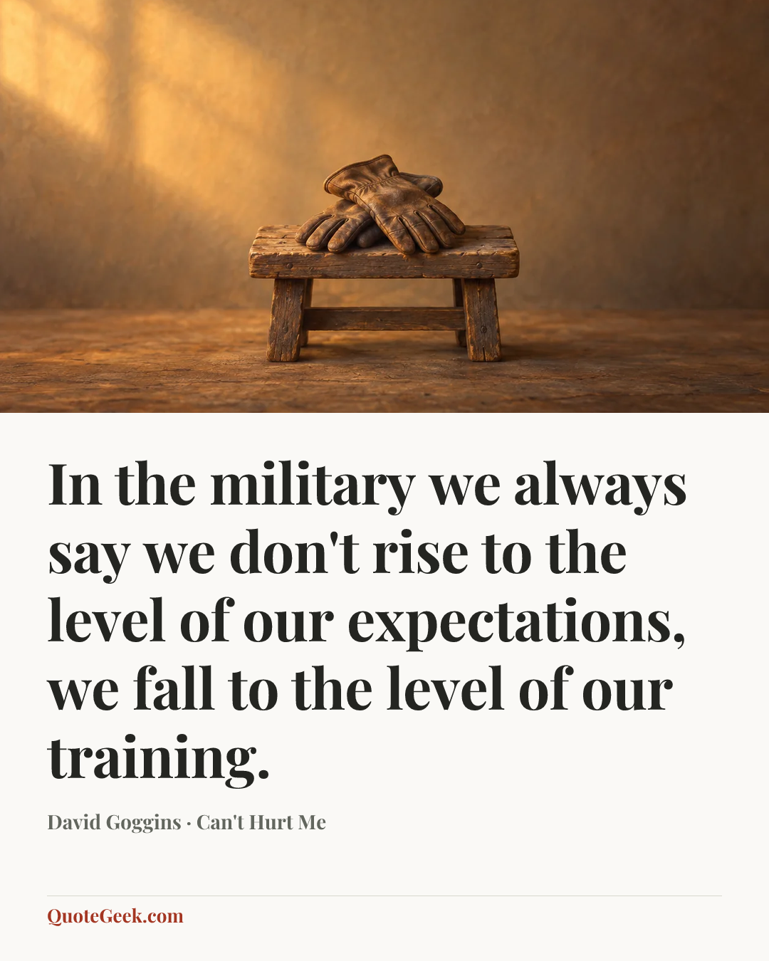 “In the military we always say we don't rise to the level of our expectations, we fall to the level of our training.” — David Goggins · Can't Hurt Me. Illustrated QuoteGeek card.