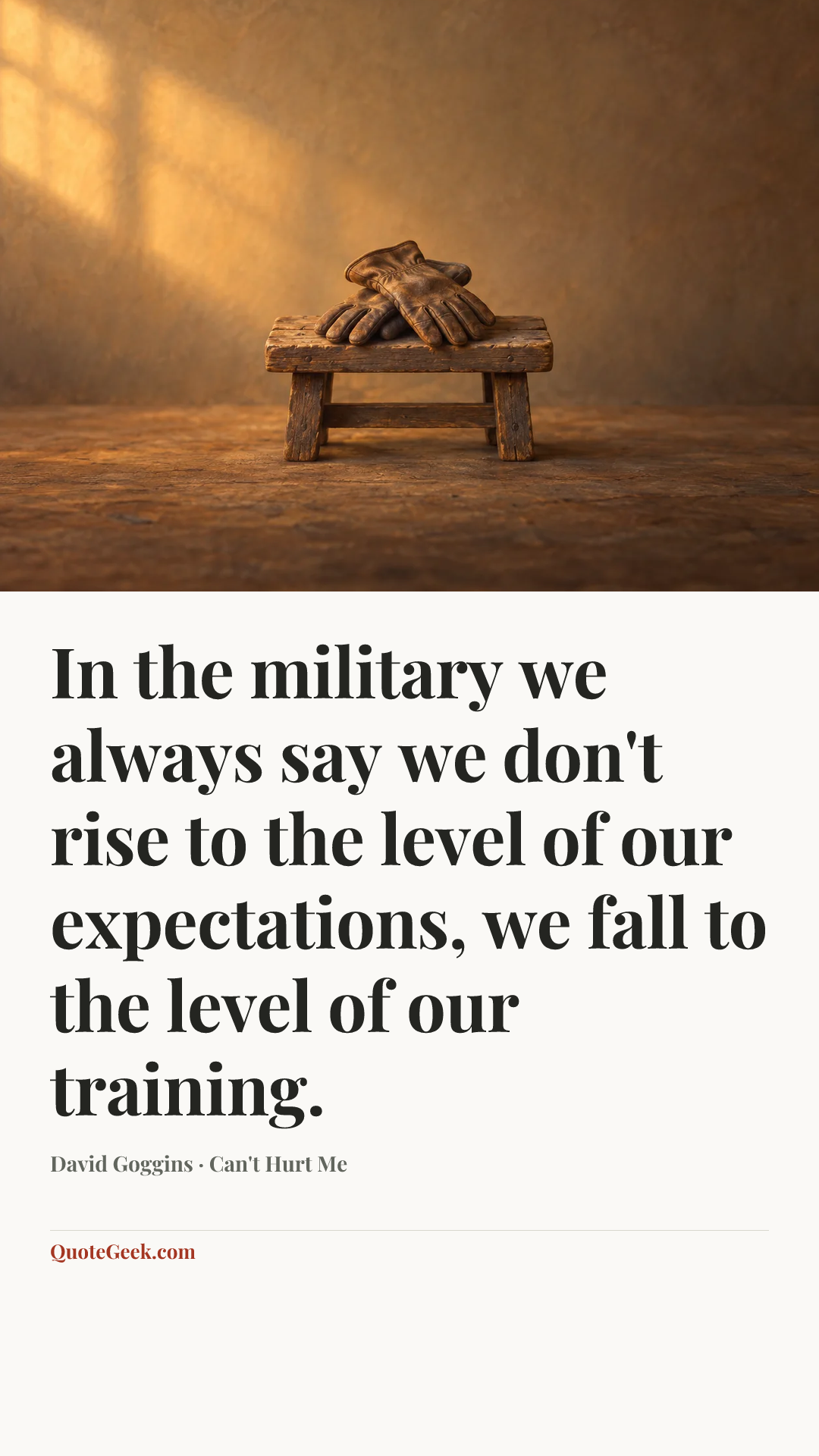 “In the military we always say we don't rise to the level of our expectations, we fall to the level of our training.” — David Goggins · Can't Hurt Me. Illustrated QuoteGeek card.