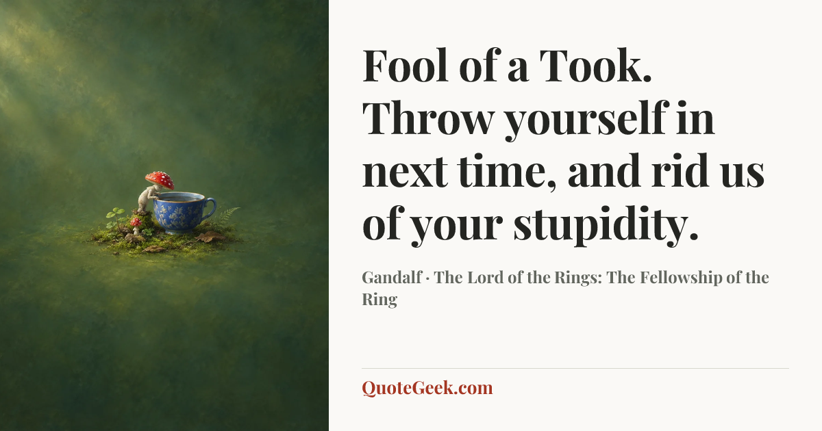 “Fool of a Took. Throw yourself in next time, and rid us of your stupidity.” — Gandalf · The Lord of the Rings: The Fellowship of the Ring. Illustrated QuoteGeek card.