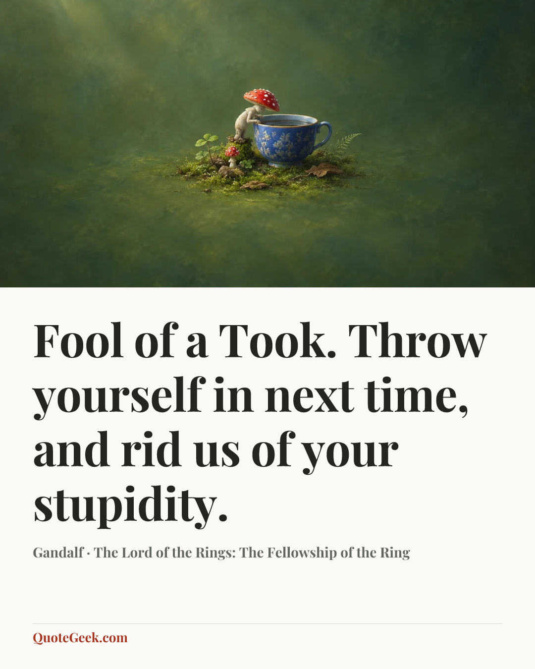 “Fool of a Took. Throw yourself in next time, and rid us of your stupidity.” — Gandalf · The Lord of the Rings: The Fellowship of the Ring. Illustrated QuoteGeek card.