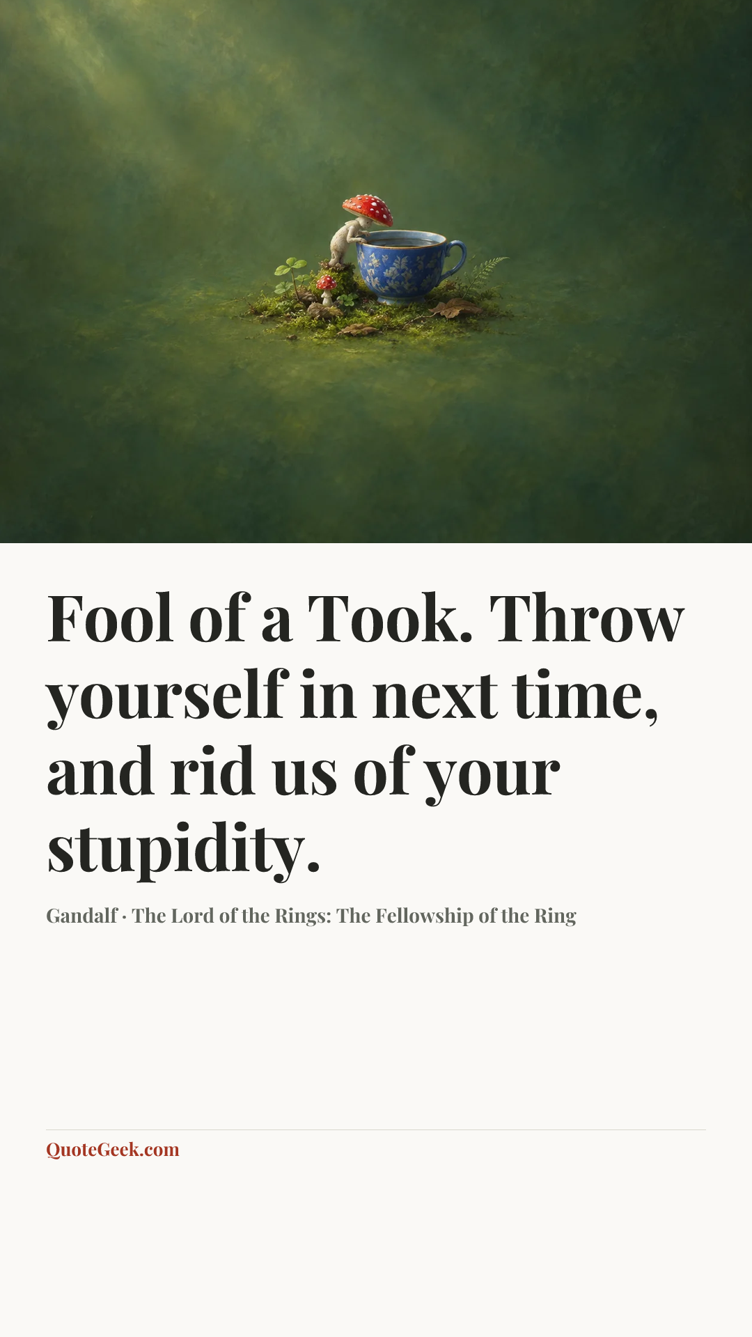 “Fool of a Took. Throw yourself in next time, and rid us of your stupidity.” — Gandalf · The Lord of the Rings: The Fellowship of the Ring. Illustrated QuoteGeek card.